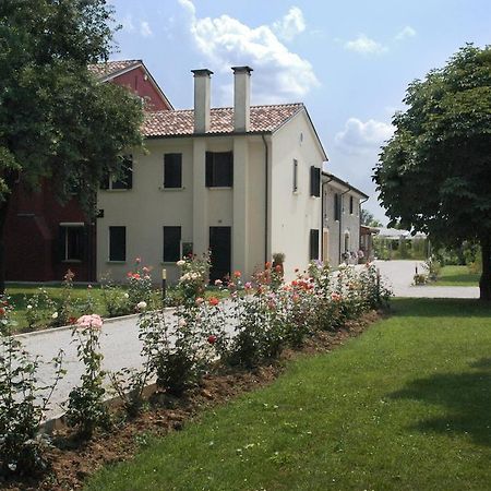 Villa Ca' Premuda Locazione Turistica à Codognè Extérieur photo