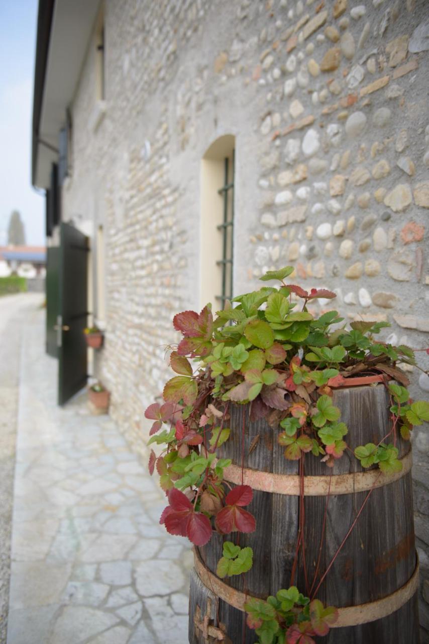 Villa Ca' Premuda Locazione Turistica à Codognè Extérieur photo